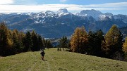 20161112-019-SoleilBoeuf