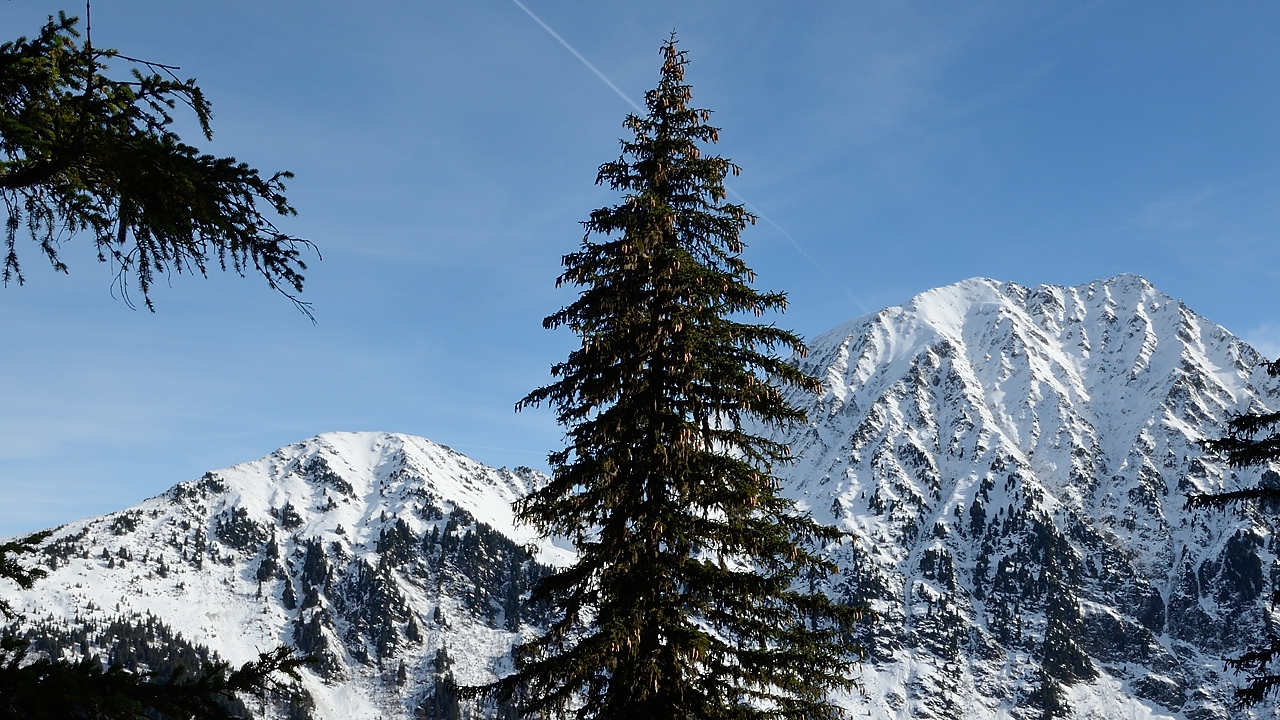 20161120-013-Pinsot.jpg - Le Grand Charnier vu du Praillet