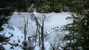 20161120-002-Pinsot