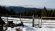 20161120-018-Pinsot