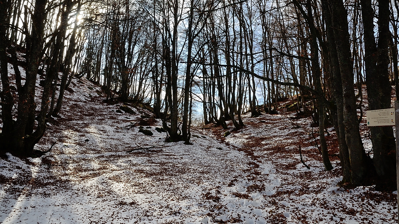 20161126-032-Margeriaz.jpg - Col de la Verne ... ou il reste un peu de neige a l'ombre