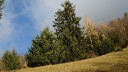 20161126-034-Margeriaz