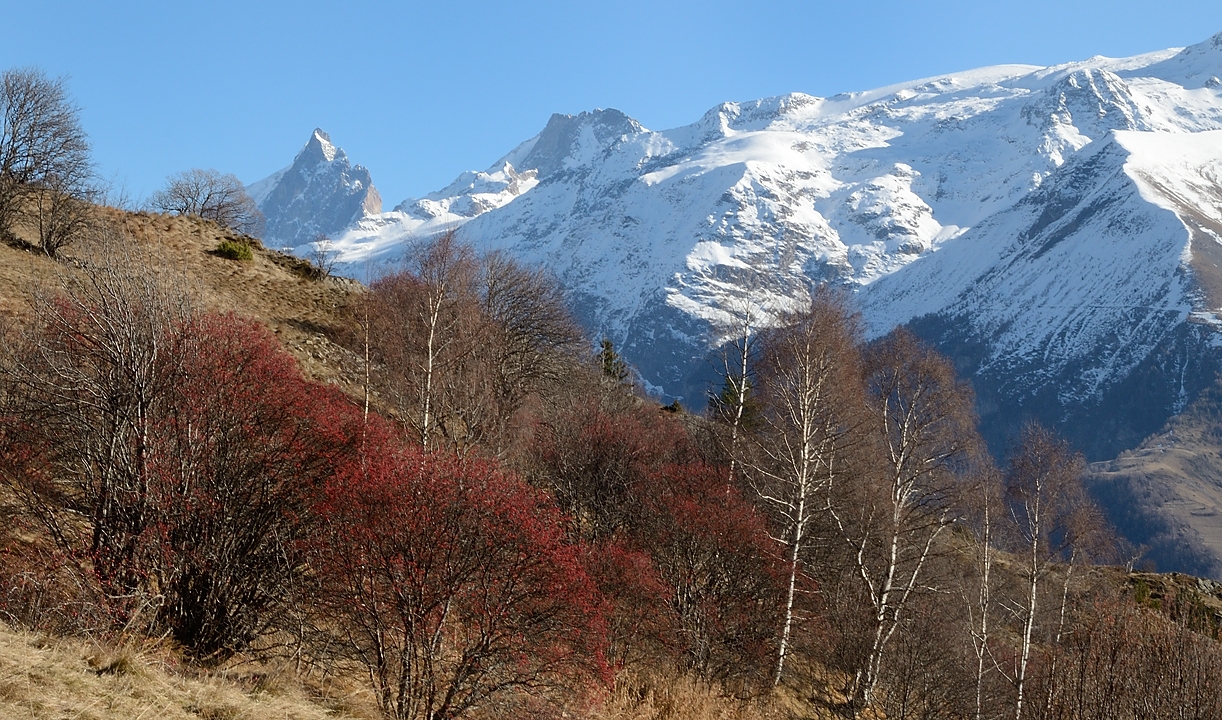 20161204-036-SignalHomme.jpg - Sympathique vue sur la Meije