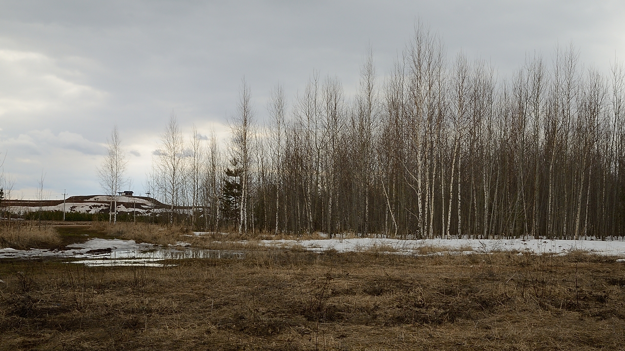 20170413-007-Innopolis.jpg - A little (snowfree) walk towards the "skiing ressort"  and  the village close  by (Vedenskaya Sloboda) just opposite the Sviiajsk Island ... which I visit in June