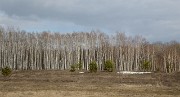 20170413-011-Innopolis
