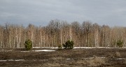 20170413-013-Innopolis