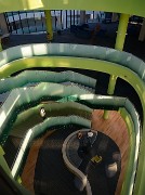 20170413-022-Innopolis