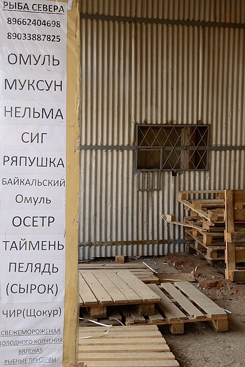 20170317-032-Kazan.jpg - Buying baykalskii omul