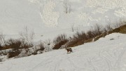 20170325-002-GrandeLauziere