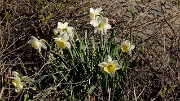 20170427-023-ETAPS-Uppsala