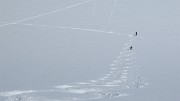 20170430-017-RocBassagne