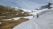 20170522-023-PteColerin