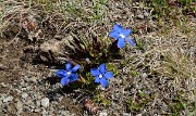 20170522-024-PteColerin