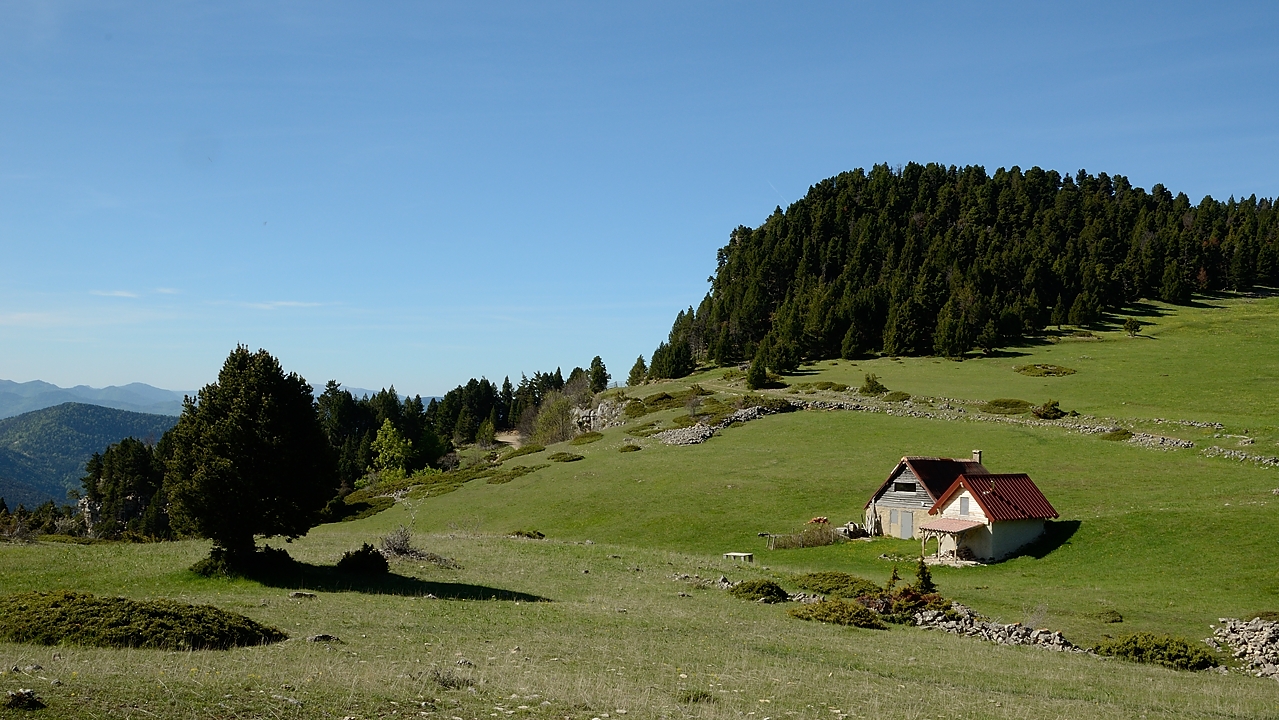 20170525-030-Archiane.jpg - Tussac ... sympa d'etre berger ici