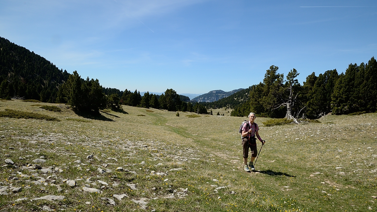 20170525-041-Archiane.jpg - Sur le Haut Plateau, non loin de la Cabane du Jardin du Roi