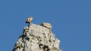 20170525-017-Archiane