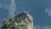 20170525-021-Archiane