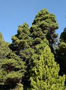 20170525-034-Archiane
