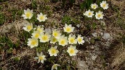 20170603-038-Levanna