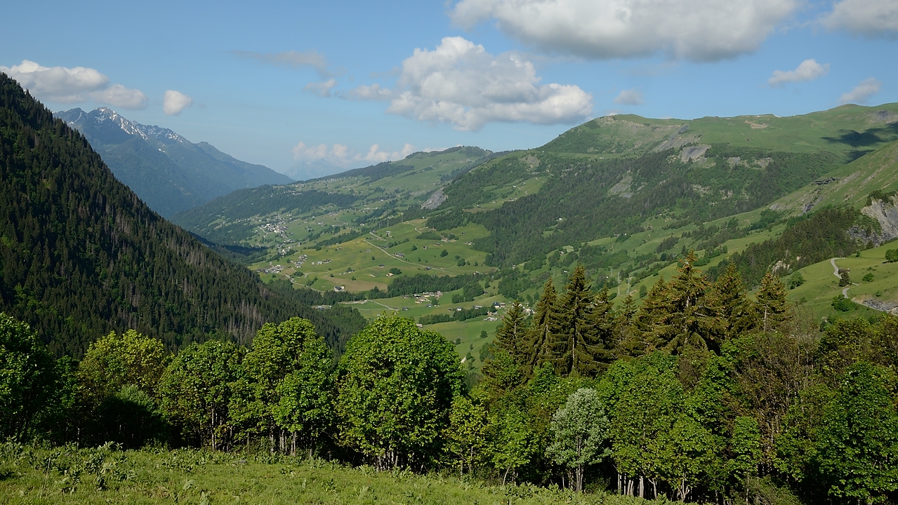 20170610-002-MontJoly.jpg - Dans la montee au Col du Joly avec vue sur le plateau du Col de Saisie