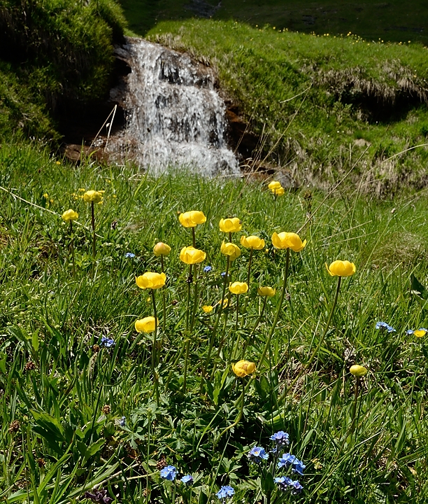 20170610-035-MontJoly.jpg -  ...
