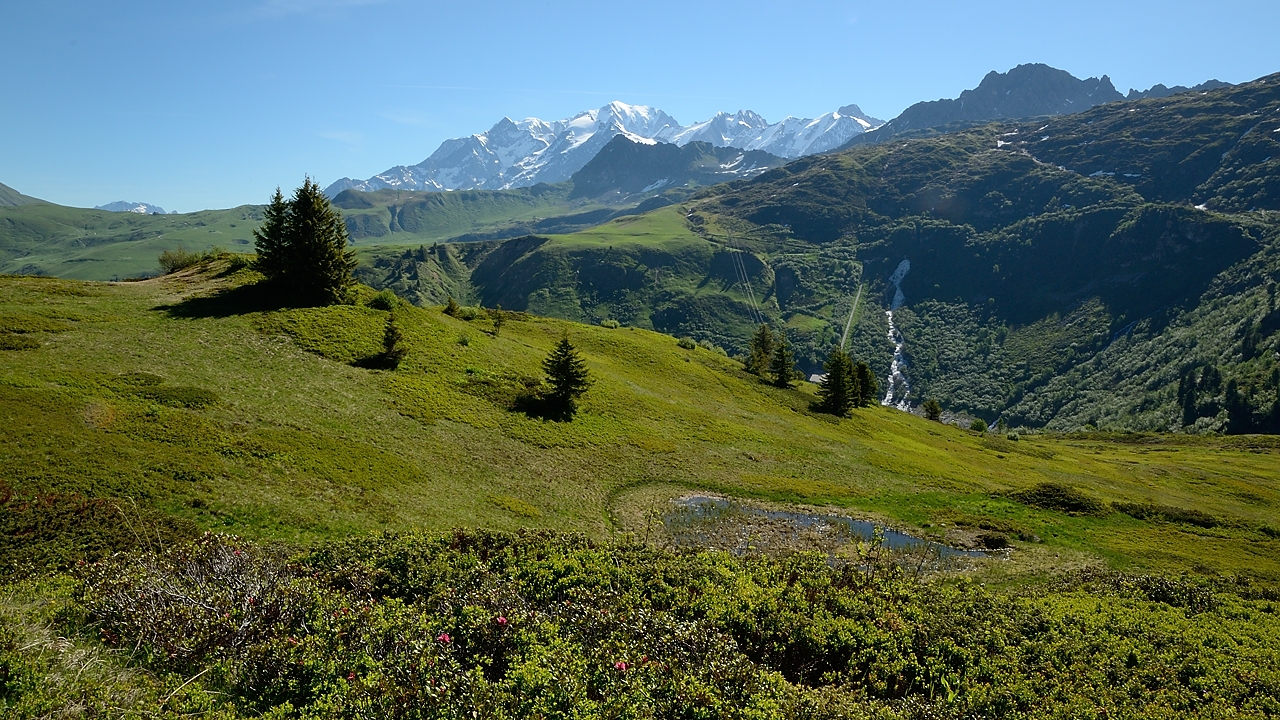 20170611-013-LacGirotte.jpg - Aussi ici, on le voit tout le temps