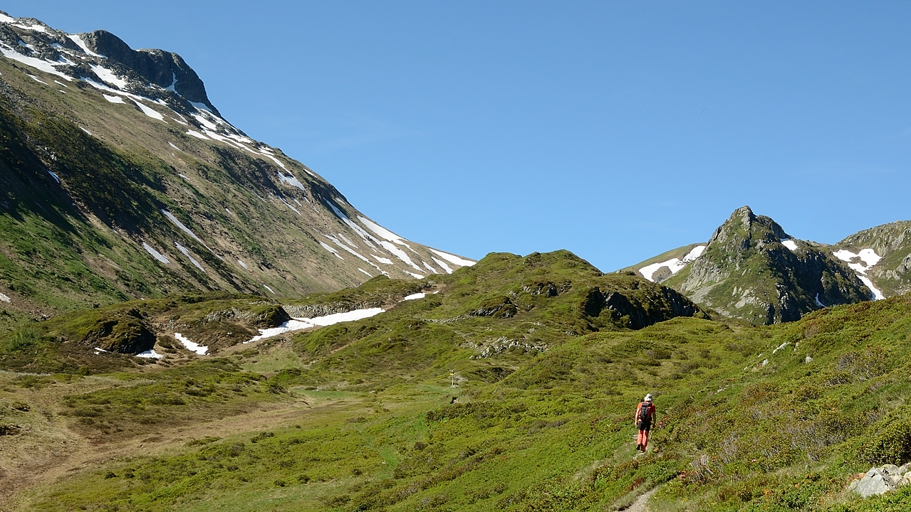 20170611-018-LacGirotte.jpg - ... meme endroit mais pas la meme plante