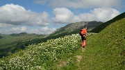 20170610-011-MontJoly