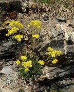 20170610-041-MontJoly