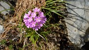20170610-043-MontJoly