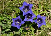 20170611-019-LacGirotte
