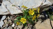 20170617-017-MtGuillaume