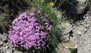 20170617-025-MtGuillaume