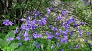 20170618-026-RocBlanc