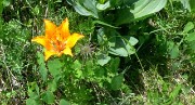 20170618-027-RocBlanc