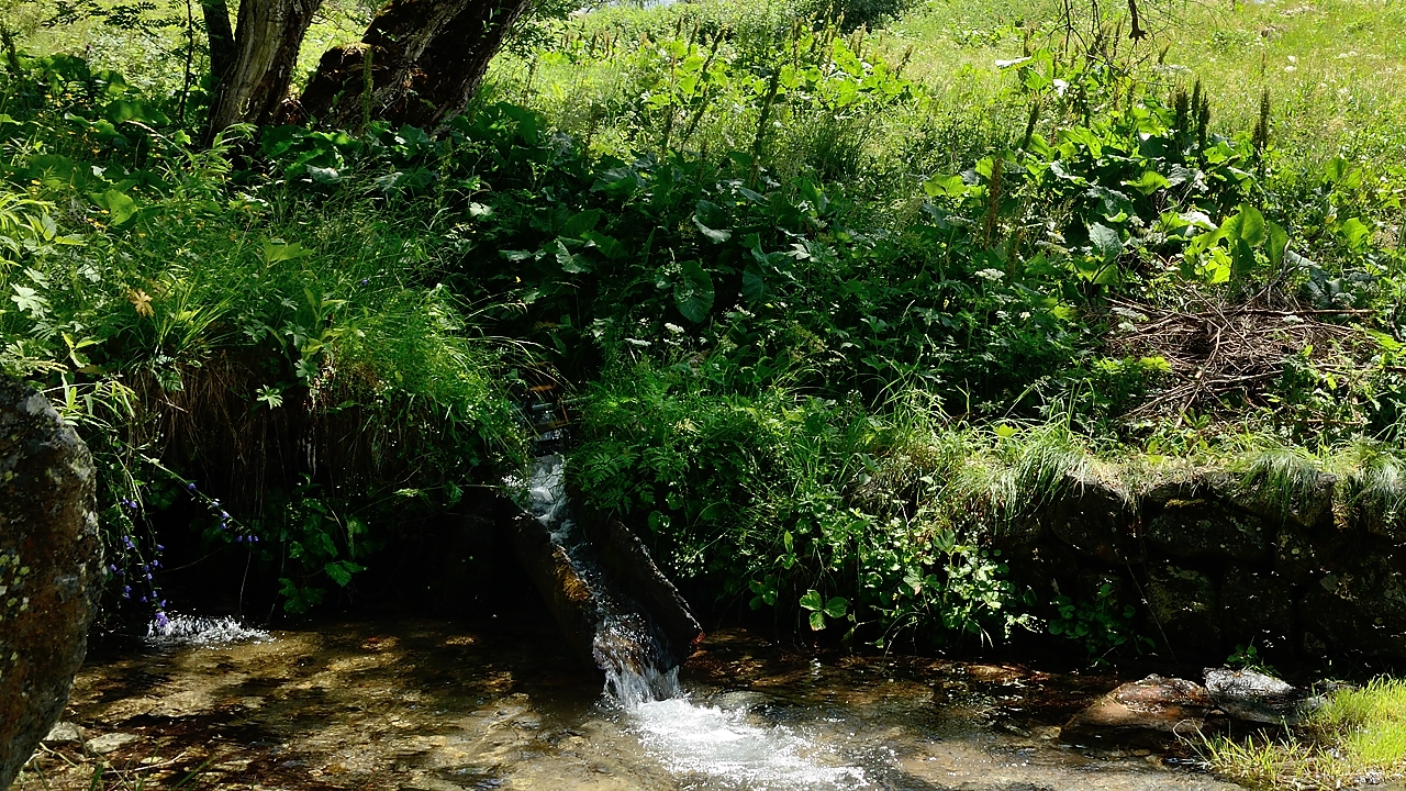 20170625-017-PlatDeSelle.jpg - Endroit bucolique : une petite source juste avant  Champébran, hameau entierement retapé
