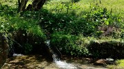 20170625-017-PlatDeSelle