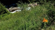 20170625-022-PlatDeSelle
