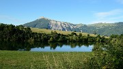 20170702-001-TeteClappe