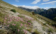 20170702-013-TeteClappe