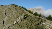 20170702-015-TeteClappe