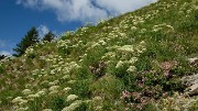 20170702-039-TeteClappe