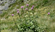 20170702-049-TeteClappe