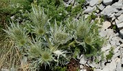 20170702-053-TeteClappe