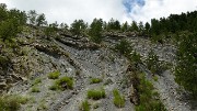 20170702-058-TeteClappe