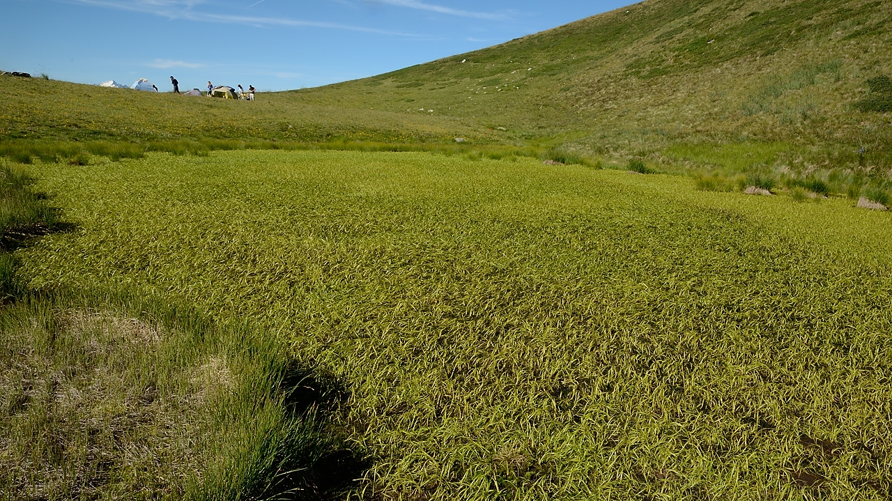 20170716-003-ColSarvatan.jpg - Juste sous le Col de Montjoie, au-dessus de St Francois Longchamp, un petit lac qui ne sera bientot plus