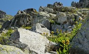 20170716-009-ColSarvatan