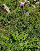 20170716-011-ColSarvatan