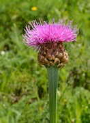 20170716-012-ColSarvatan