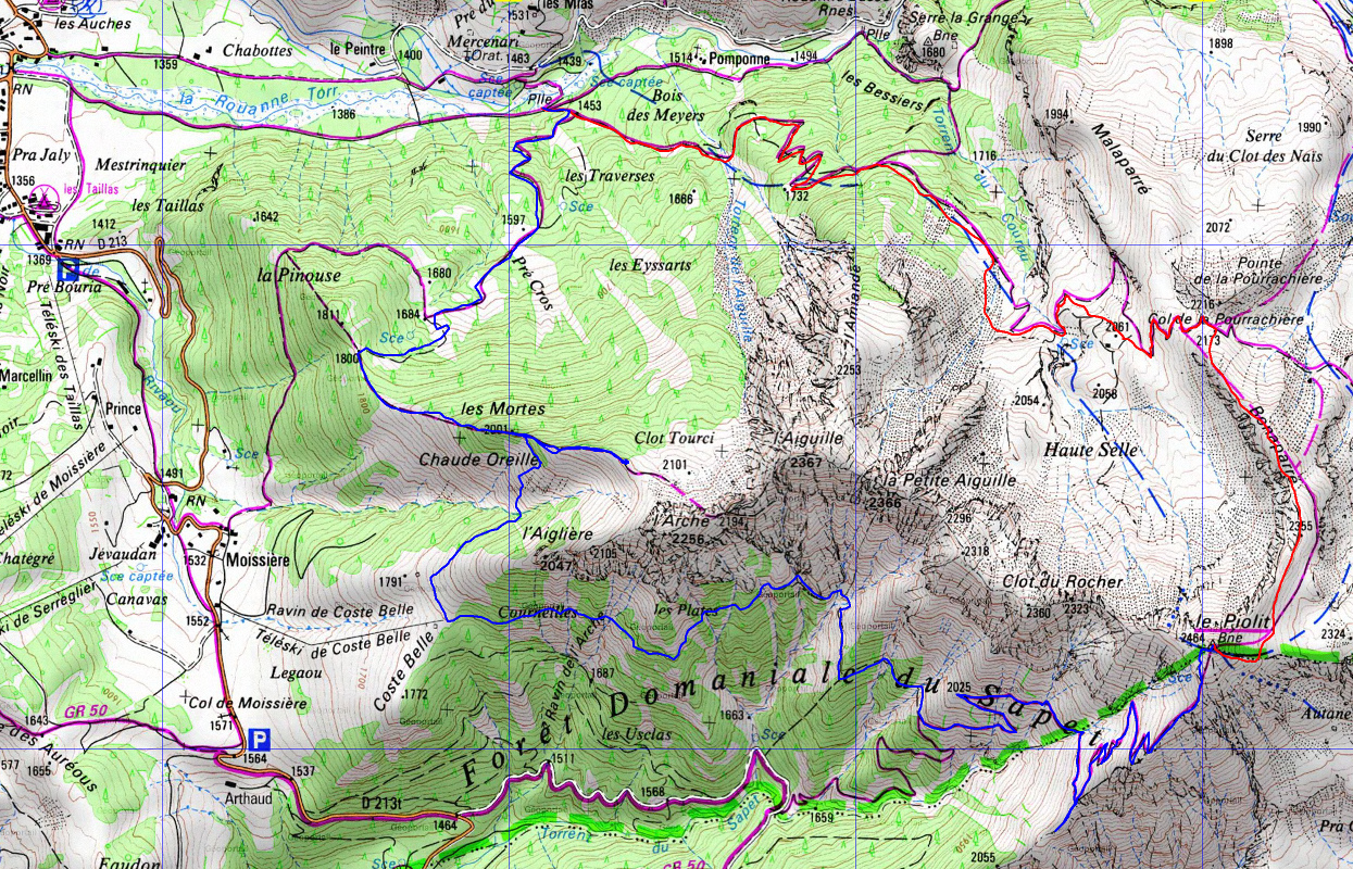 20170723-000-Piolit-trace.jpg - Trace : montée par le Piolit (cabanes de berger, neuve et ancienne vers 2061), puis magnifique traversée sauvage par les Plates et les Cournelles (le chemin est toujours visible, mais pour combien de temps)  pour atteindre l'arête menant à l'Arche. On n'y monte pas la montre avance.
